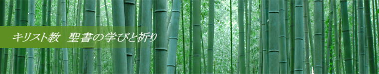 キリスト教　聖書の学びと祈り